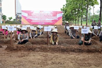 Wagub Sulsel : P2L strategis mendukung program Astacita Prabowo