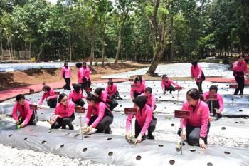 Polri-Bhayangkari luncurkan program P2L guna dukung ketahanan pangan