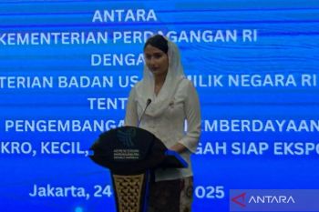 Wamendag: RI perkuat diplomasi dagang global lewat BRICS dan CPTPP