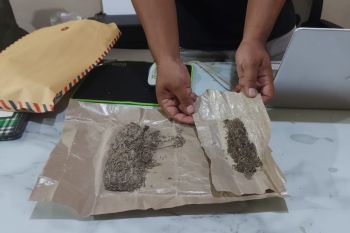 Polisi gerebek kampung narkoba di Masbagik Lombok Timur