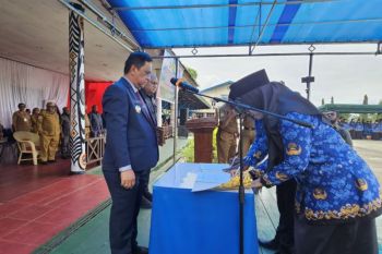 Pemkab Jayapura sebut 509 tenaga fungsional perkuat layanan publik
