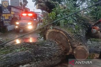 Puluhan rumah rusak dan pohon tumbang di Bantul Yogyakarta