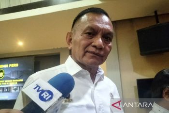 Pemerintah beri diskon harga tiket pesawat dan tarif tol untuk pemudik