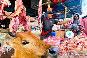Harga jual daging segar  di Aceh Barat melonjak jadi Rp180 ribu/kg