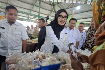 Wagub minta pemda terus pantau keterjangkauan harga pangan