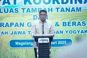 Wamentan tegaskan penyuluh pertanian ujung tombak swasembada pangan