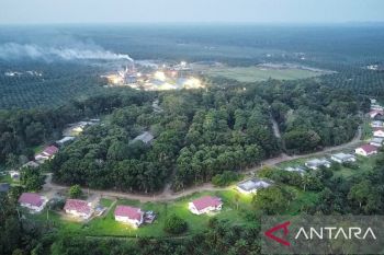 Komitmen keberlanjutan, Kebun Terantam PTPN IV Regional III catat produksi optimal