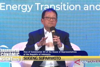 DPR sebut RI harus terapkan pertambangan berkelanjutan