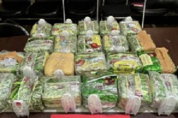 Polda Lampung buru satu pelaku penyelundupan sabu seberat 24,8 kg