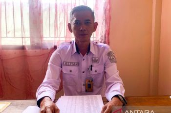 Pemkot Kendari pasok ribuan ton benih jagung untuk petani