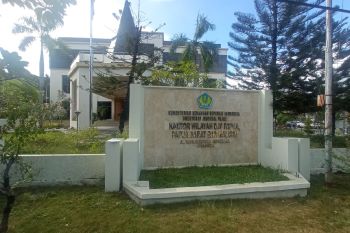 Kanwil DJP: Penerimaan pajak Papua Januari 2025 Rp485,59 miliar