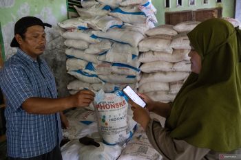 I-Pubers untuk pemerataan pupuk subsidi di pelosok negeri