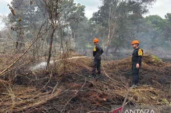 Pemprov Kalbar fokus pada edukasi dan pencegahan karhutla