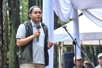 Ada potensi 7 juta ha lahan untuk dijadikan perhutanan sosial