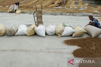 Bulog Sulselbar optimistis serap  sebanyak 579.938 ton setara beras