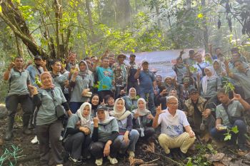 Kawasan sumber mata air di Lantan Lombok Tengah ditanami pohon