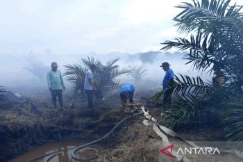 Indonesia urges palm oil firms to step up land fire prevention