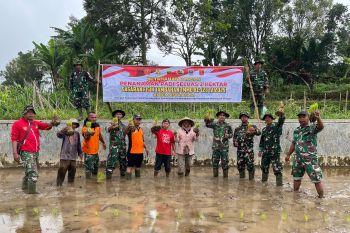 Satgas TMMD Kodim Agam bantu warga tanam padi