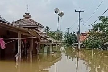 Penyebab ratusan rumah di Karawang terendam banjir