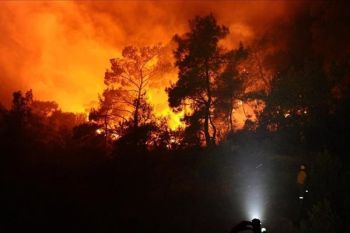 Kebakaran hutan di Jepang terus meluas, 3.000 orang dievakuasi