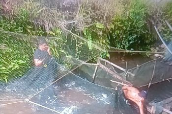 Capaian produksi ikan di Pasaman Barat 18.158 ton dalam dua bulan