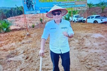 Pemkab Pasaman Barat targetkan 8.875 ton produksi padi gogo pada 2025