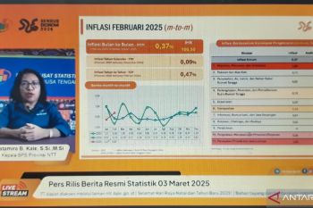 BPS: NTT alami inflasi 0,47 persen pada Februari 2025