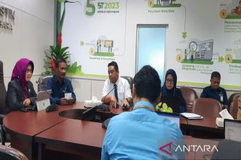 Kelompok makanan penyumbang inflasi di Sultra pada Februari 2025