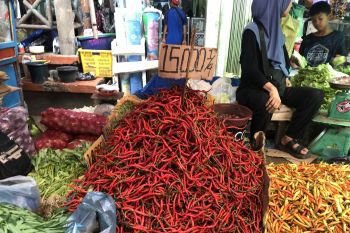 Harga cabai merah di Palembang tembus Rp100.000 per kilogram