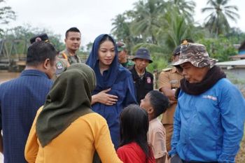 Tinjau banjir di Koto Besar, Bupati Annisa Suci Ramadhani tekankan solusi jangka panjang atasi banjir