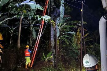 PLN lakukan perbaikan jaringan listrik terdampak longsor di Pesawaran