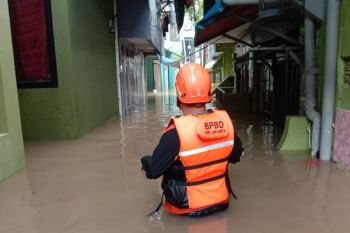 Banjir akibat luapan Kali Ciliwung di Jakarta meluas
