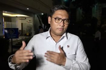 Wamentan mengungkap strategi turunkan harga cabai