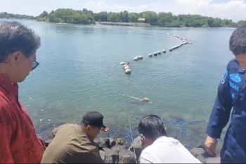 Satpol PP Bali membongkar pembatas laut di KEK Kura-kura Bali