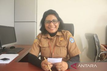 Dinkes Jayawijaya menangani 795 kasus TBC selama 2024