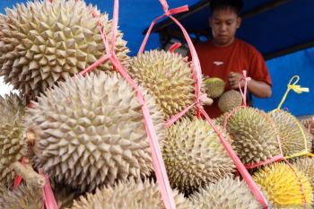 Bea Cukai perketat pengawasan cegah masuknya durian ilegal Malaysia