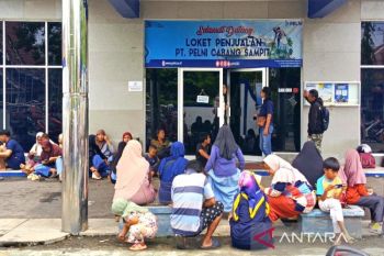 Pelni siapkan tiga kapal angkut pemudik dari Sampit