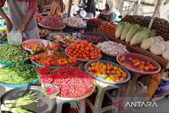 Mentan: Harga pangan stabil dan cabai mulai turun