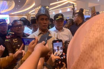 Mentan targetkan Sumsel peringkat tiga besar penghasil beras nasional