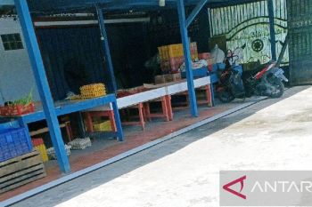 Pemkab Biak pastikan stok bahan pokok terpenuhi hingga tiga bulan ke depan