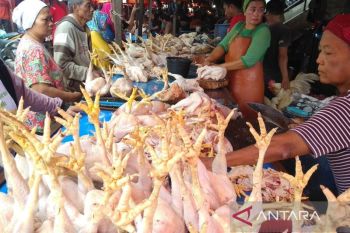 Kaltim gandeng berbagai pihak gelar pasar murah guna tekan inflasi
