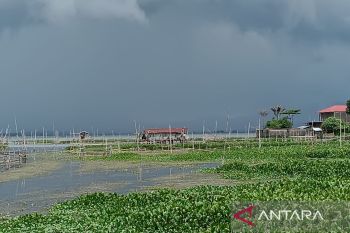Gubernur sebut dibantu TNI Danau  Tondano bersih dari eceng gondok