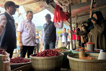 Satgas Pangan Polda Sulteng sidak pasar upaya kendalikan harga bapok