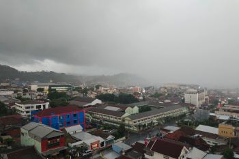 Pemprov Lampung: Penambahan RTH jadi opsi untuk perluas daerah resapan