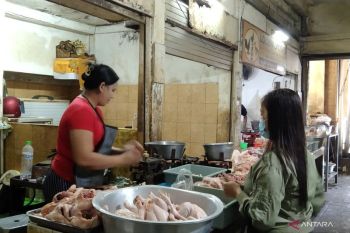 BI Bali tekankan efisiensi rantai pasok kendalikan lonjakan harga