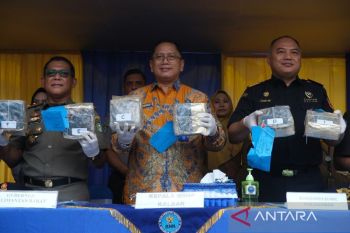BNNP Kalbar memusnahkan sabu Malaysia dan ganja Medan