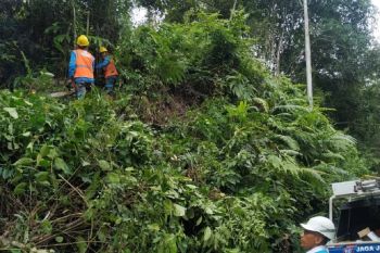 GOROW dan Pemeliharaan Konstruksi, PLN UP3 Bukittinggi Tingkatkan Keandalan Pasokan Listrik Selama Ramadhan 1446 H