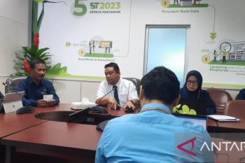 Produksi padi di Sultra 159,60 ribu ton GKG Januari-April 2025