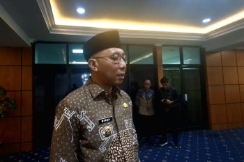 Gubernur Lampung sebut desa penghasil pangan dibantu buat pupuk organik