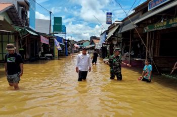 1.070 rumah di Katingan terdampak banjir